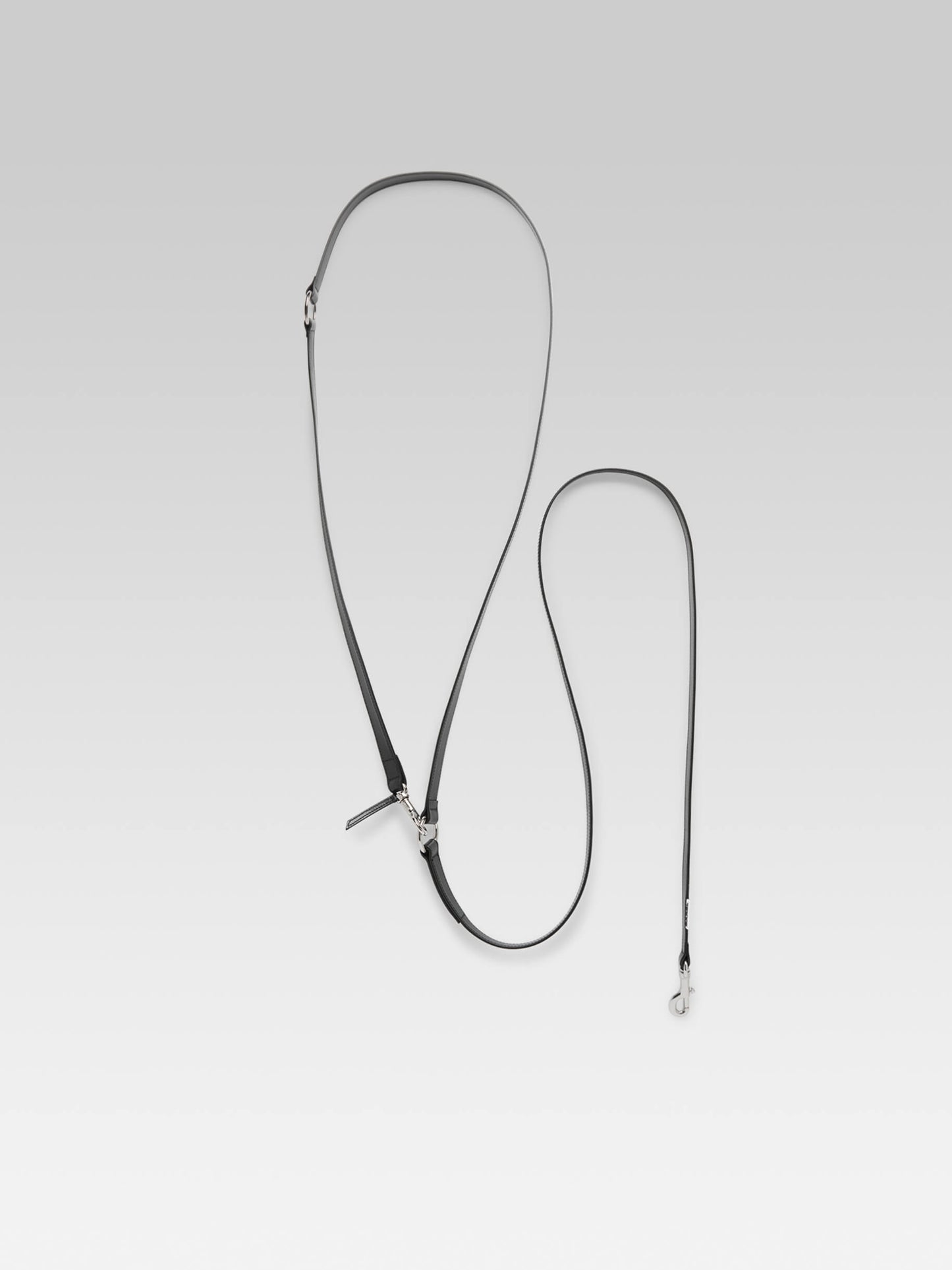 Milou - Laisse pour chien en cuir noir