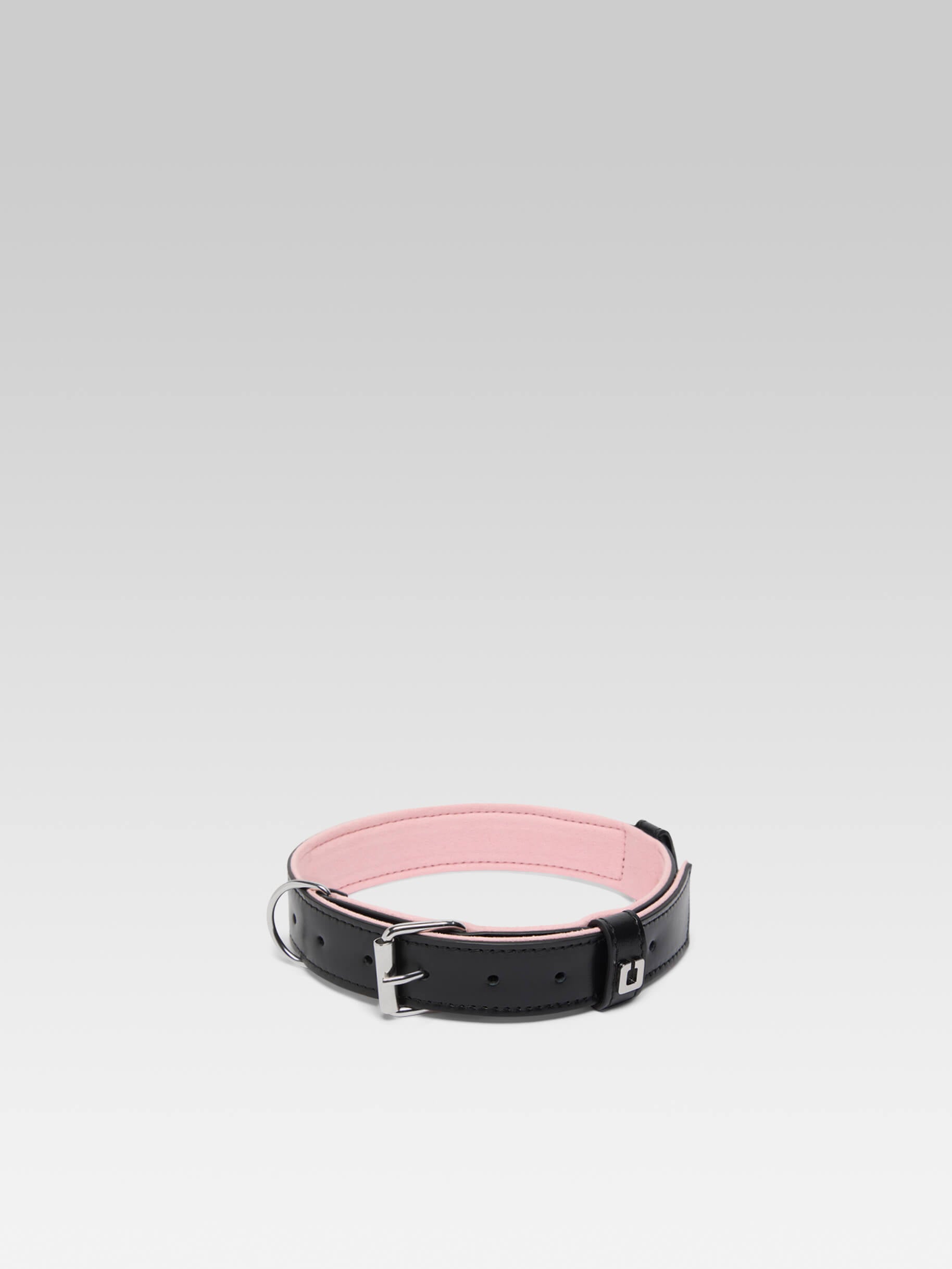 Rex - Black leather dog collar - Image number 1