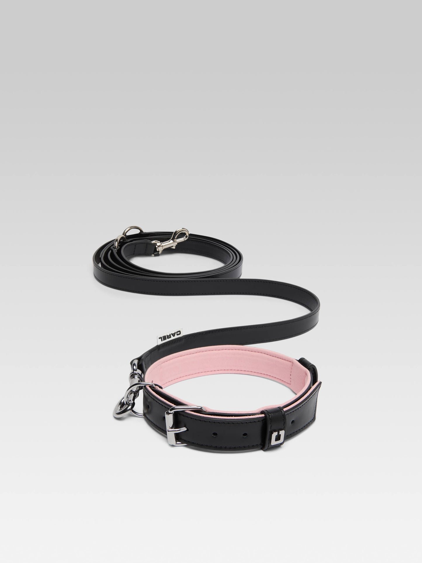 Rex - Black leather dog collar