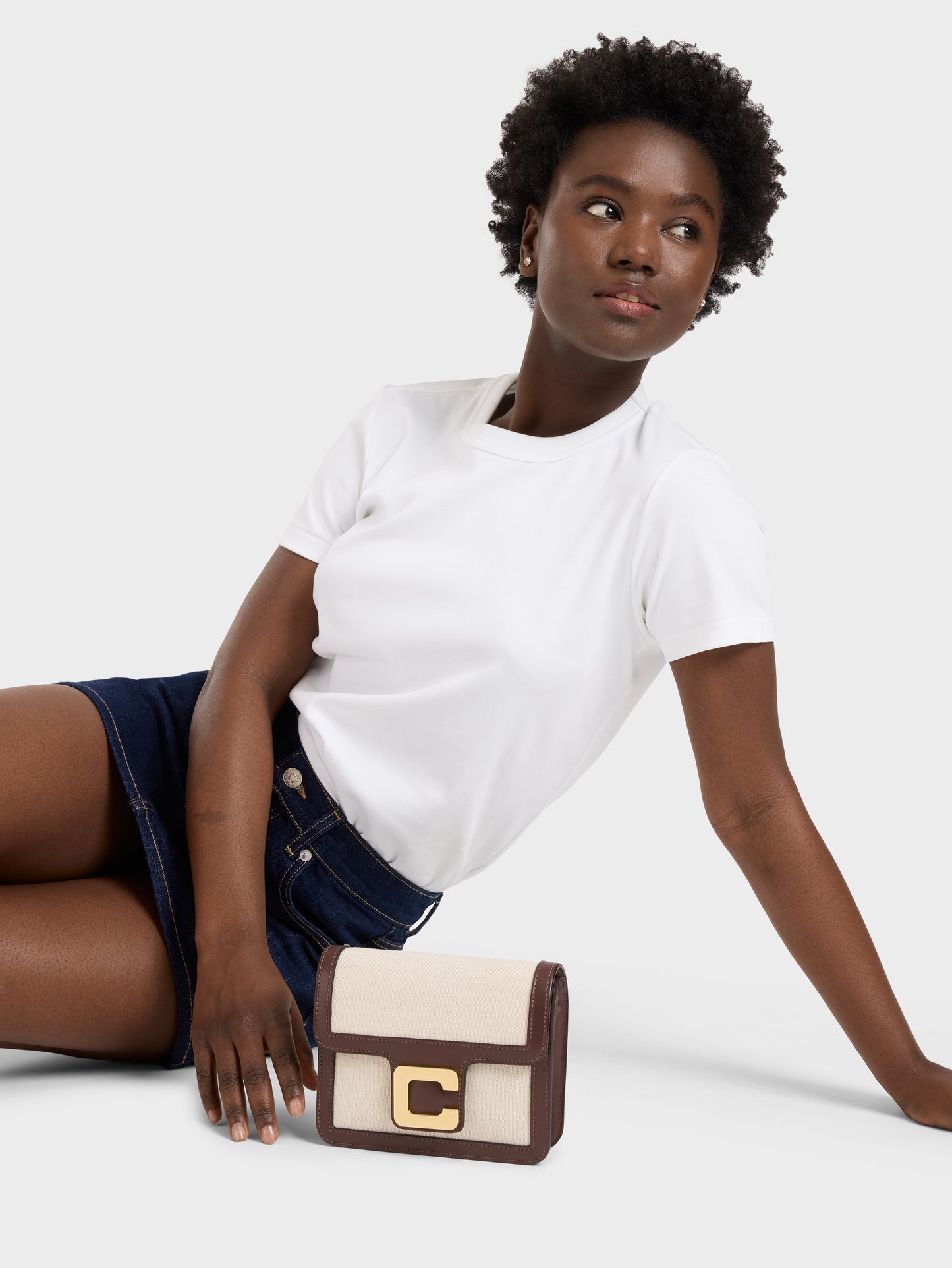 Mini Sorbonne - Brown leather and beige canvas bag