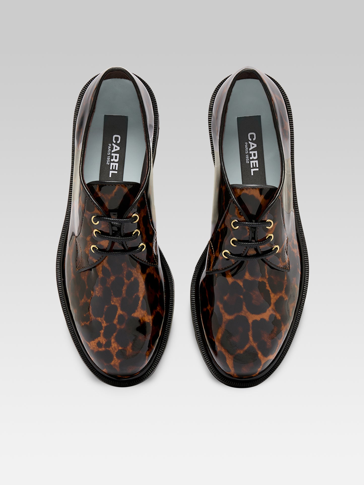 Gioia - Derbies cuir verni leopard