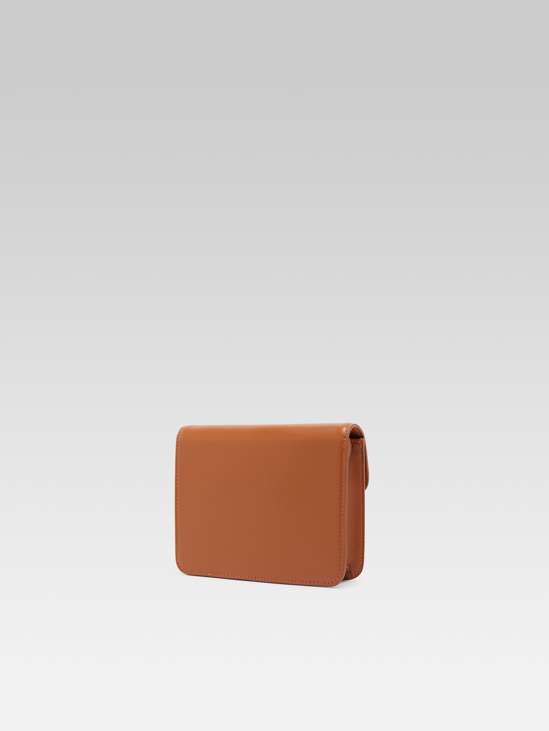 Mini Sorbonne - Sac cuir camel - Image numéro 4