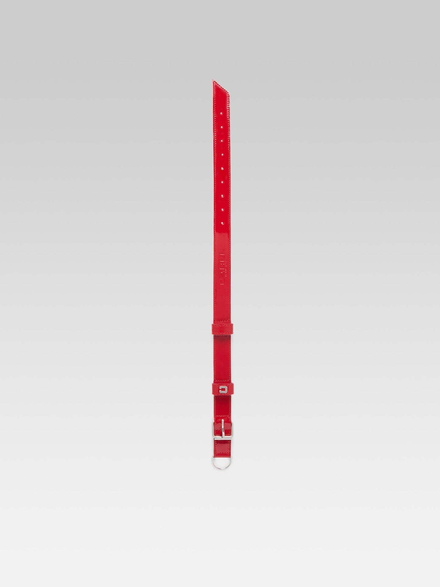 Rex - Collier pour chien en cuir verni rouge