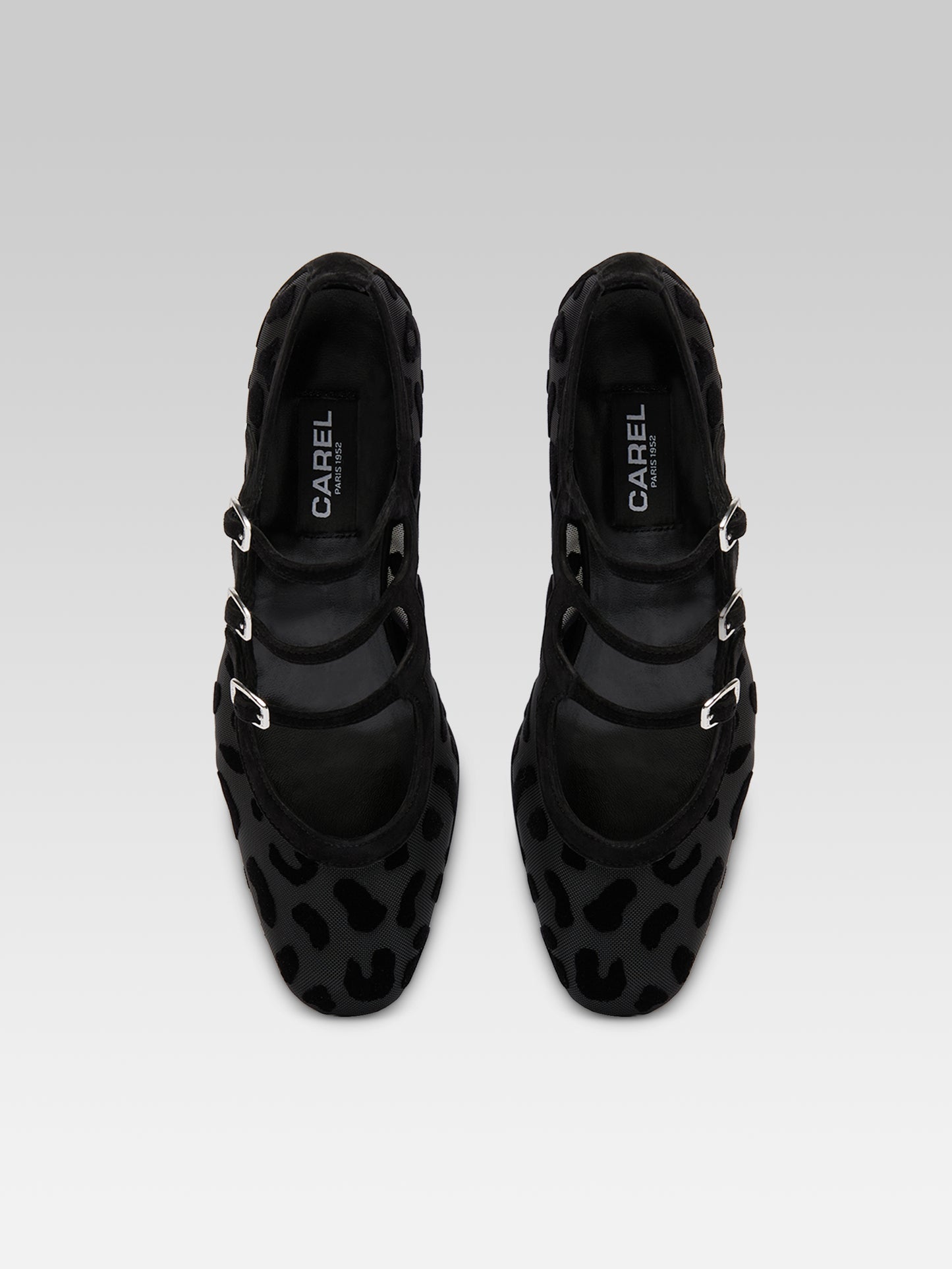 Ariana R -  Ballerines babies résille et jaguar cuir velours noir