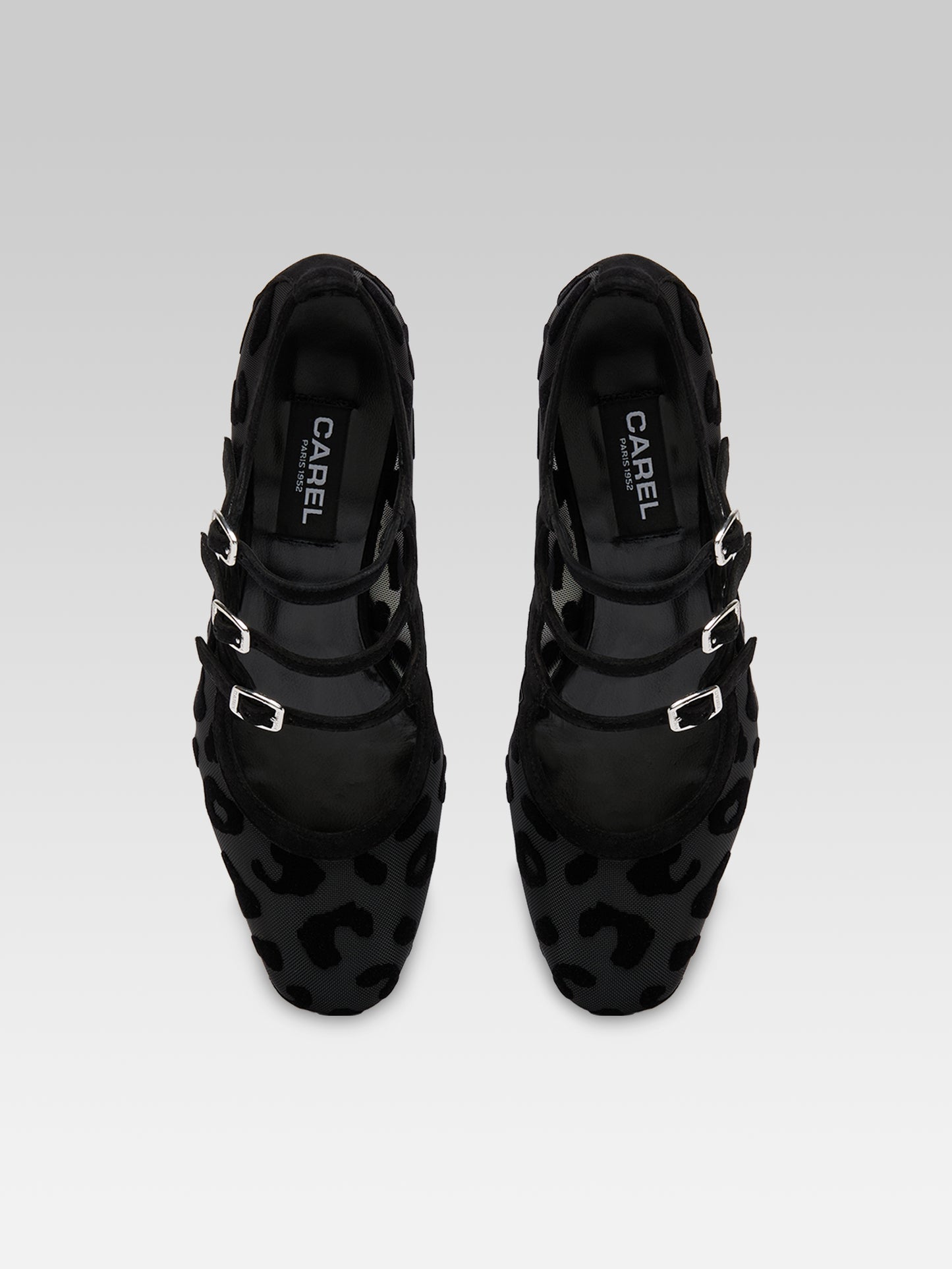 Kina R - Black mesh and jaguar print suede leather Mary Jane ballet flats