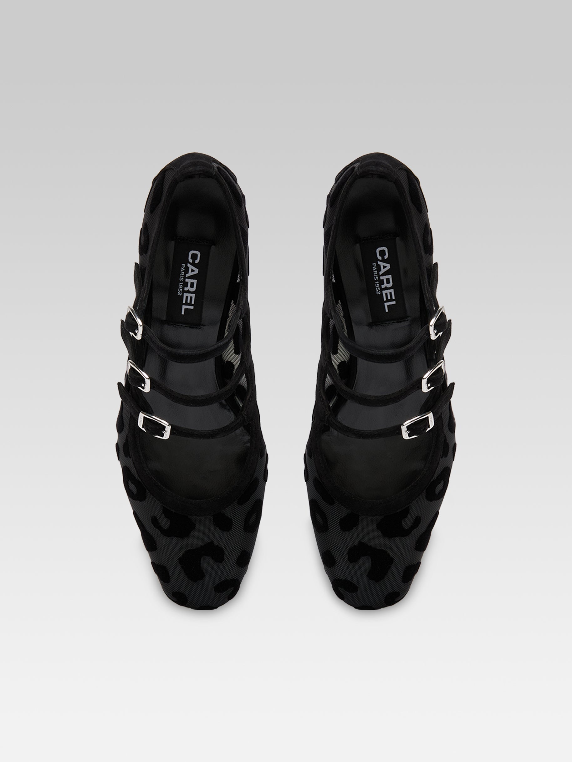 Kina R - Black mesh and jaguar print suede leather Mary Jane ballet flats - Image number 3
