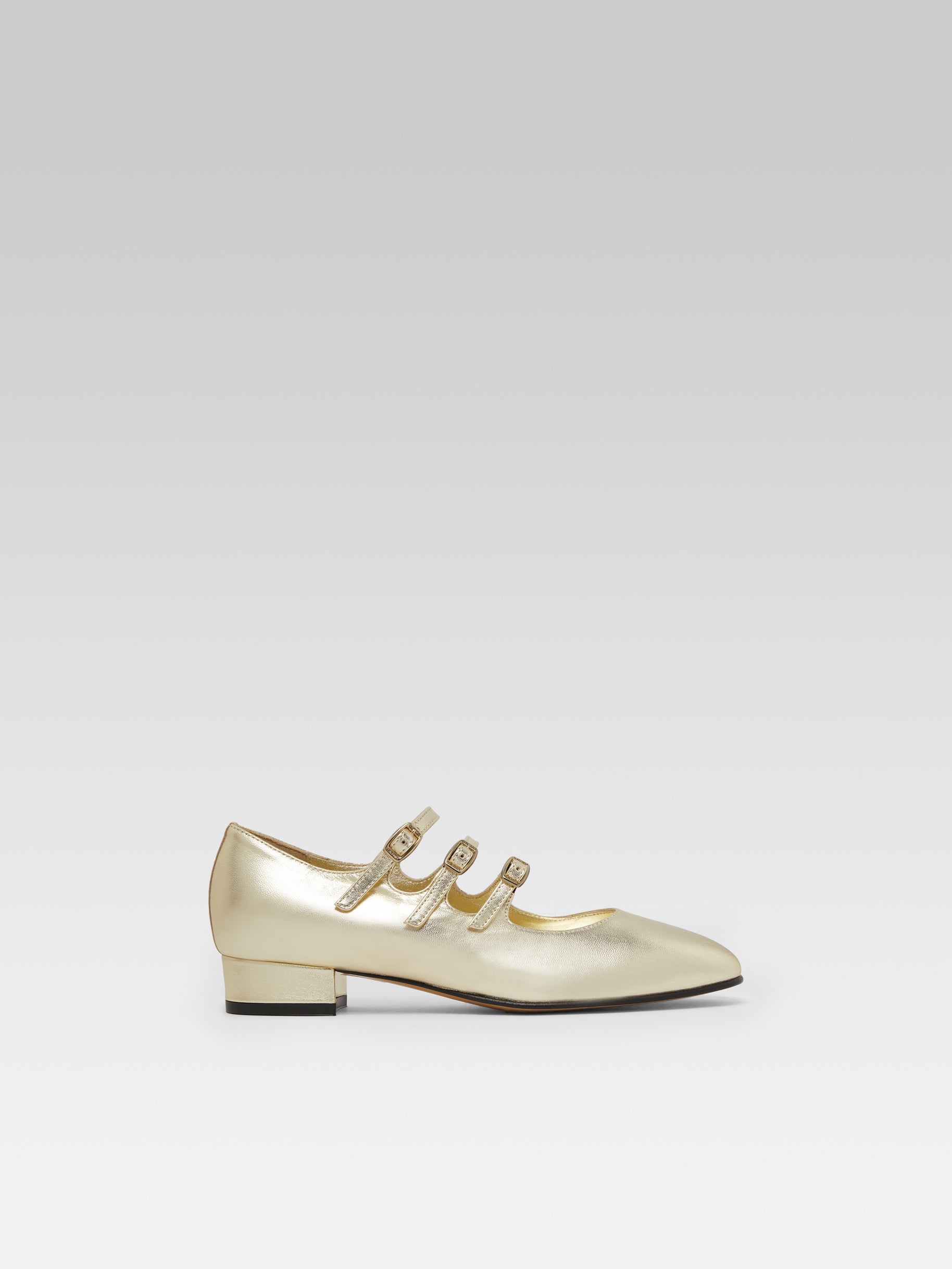 Ariana - Platinum laminated leather Mary Janes ballet flats - Image number 1