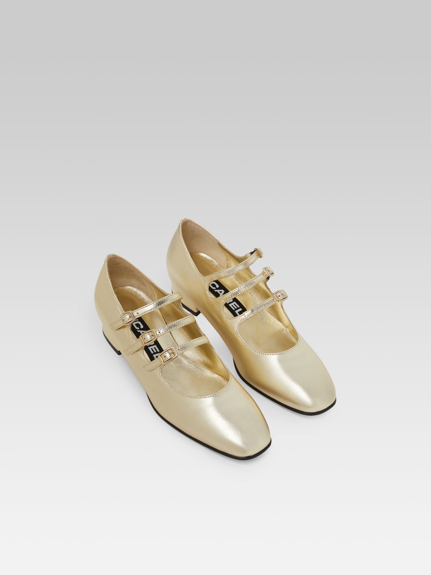 Ariana - Platinum laminated leather Mary Janes ballet flats